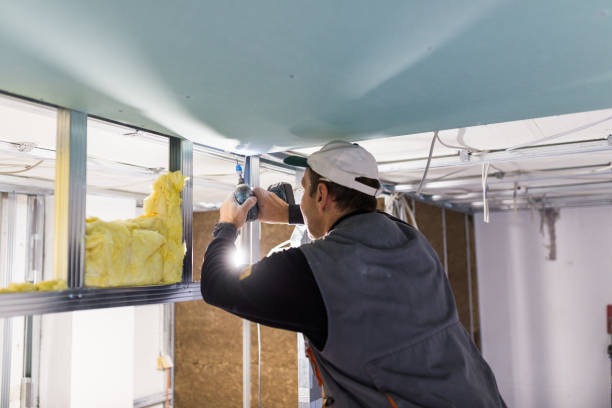 Types of Insulation We Offer in Orion, IL